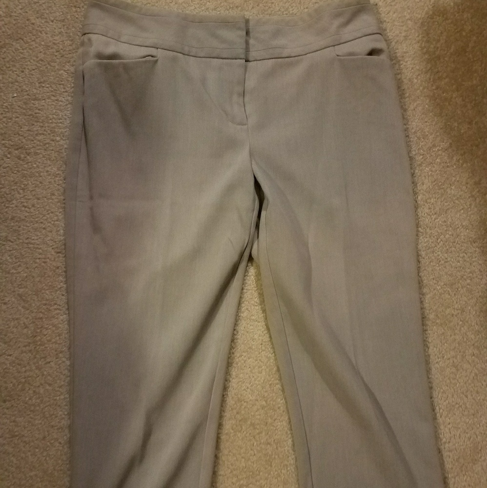 Maurices dressy capri